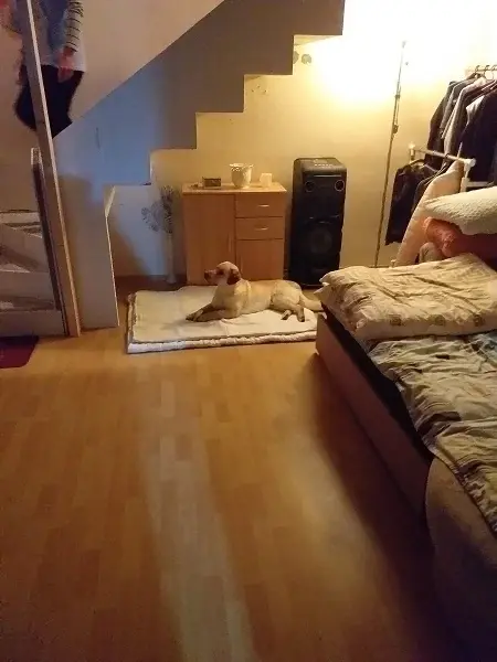 Přečtete si více ze článku Pavol M.