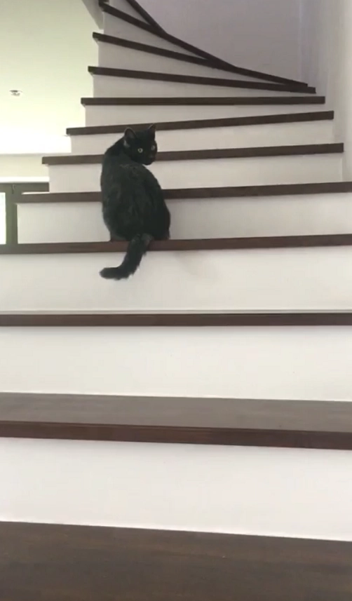 Přečtete si více ze článku Viliam P.